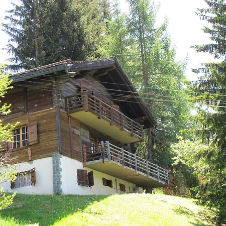 Vila Chalet Nouchka Verb120 Verbier Exteriér fotografie